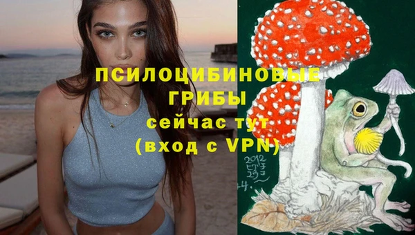 соль ск Надым