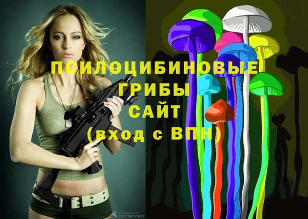 соль ск Надым