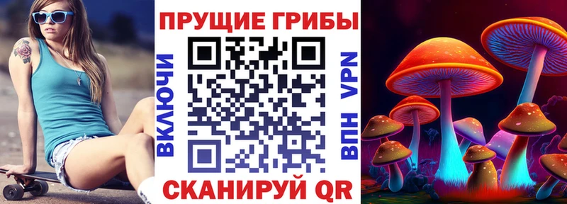 Псилоцибиновые грибы GOLDEN TEACHER  кракен ONION  Переславль-Залесский 