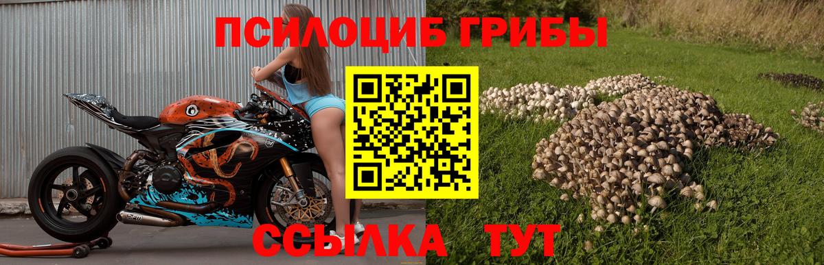 Переславль-Залесский  Псилоцибиновые грибы MAGIC MUSHROOMS  Псилоцибиновые грибы Psilocybe  Вход с VPN 