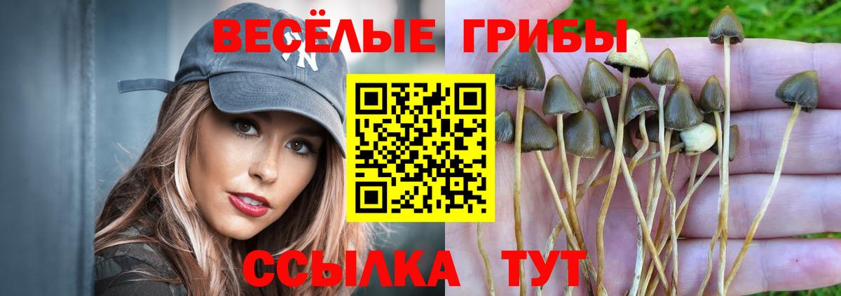 Псилоцибиновые грибы ЛСД  купить закладку  Переславль-Залесский 
